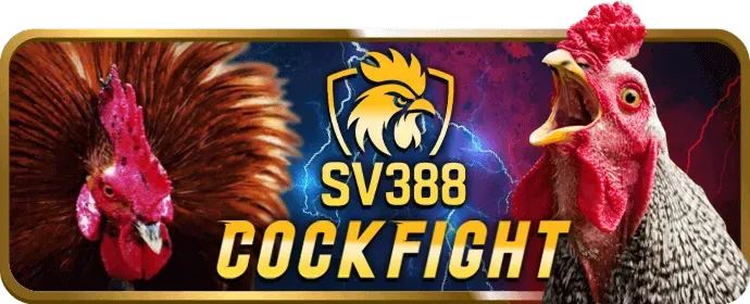 Các chiến thuật chơi Tài Xỉu thông minh và hiệu quả cao tại 55win55